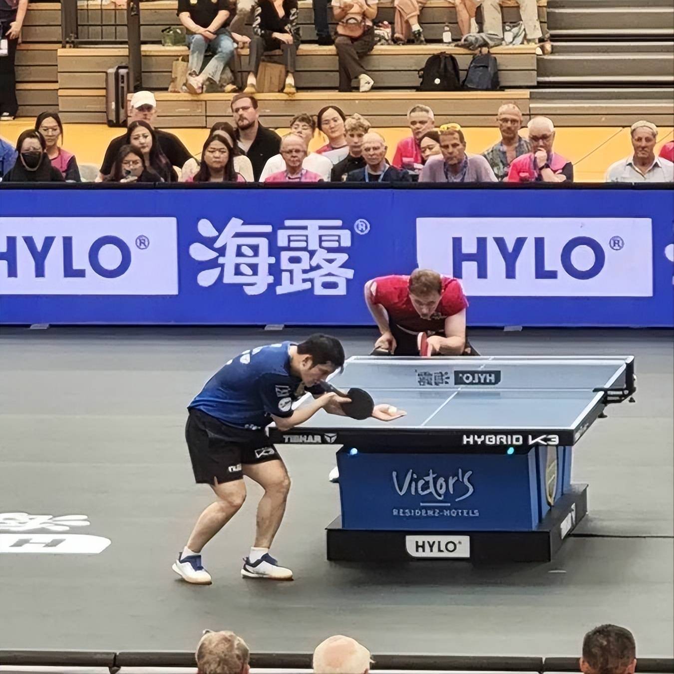 瑞典乒乓球队爆冷比利时乒乓球队，樊振东制霸全场