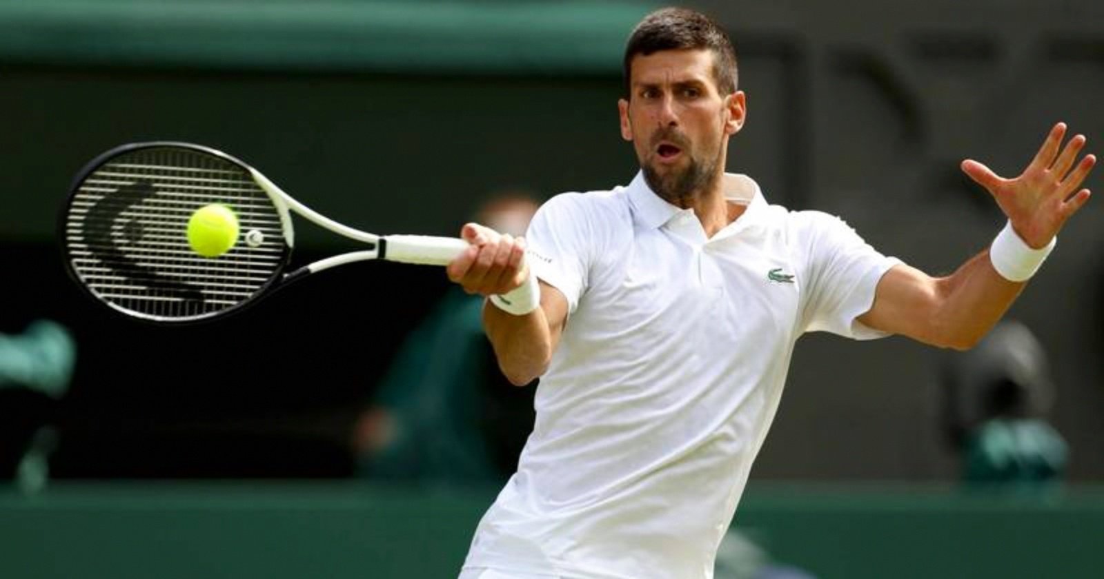 法网轻取ATP总决赛,德约科维奇带队取胜 法网轻取ATP总决赛,德约科维奇带队取胜